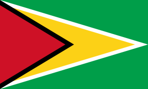 2000px-Flag_of_Guyana.svg